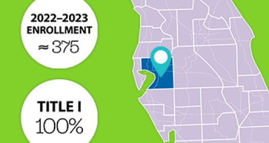 i-Ready Fluency Flight Program Overview