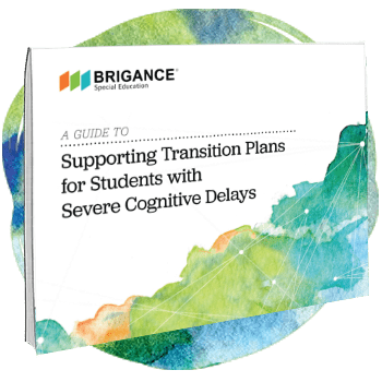 A Guide to Supporting Transition Plans for Students with Severe Cognitive Delays.