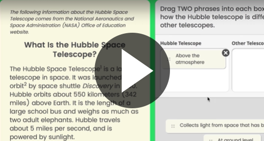 Assessment Item screen
