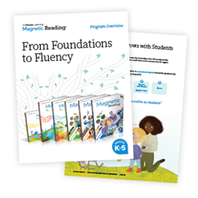 Magnetic Reading overview brochure.